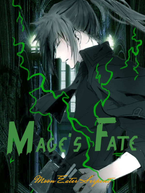 Mage's Fate [Discontinued] Book