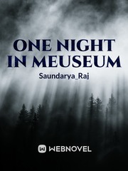 One night in meuseum Book