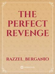 The Perfect Revenge Book