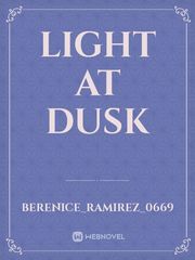 Light at Dusk Book