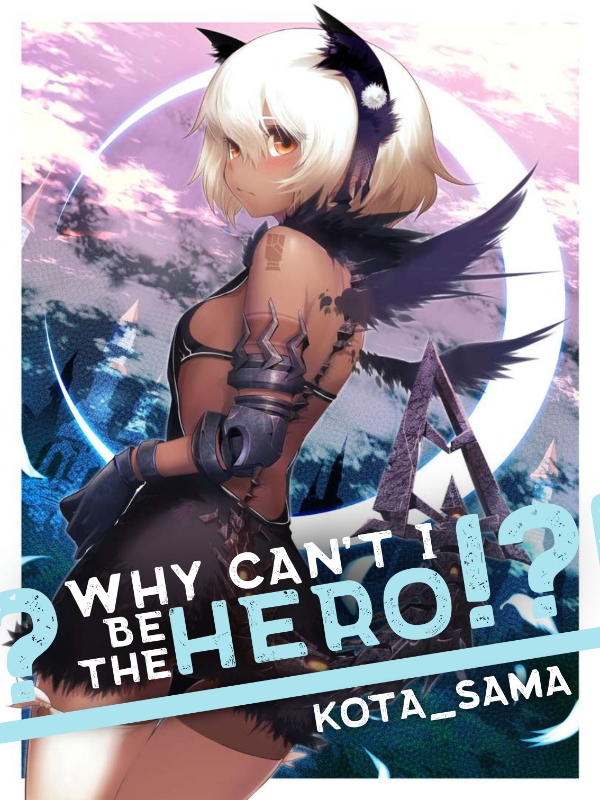 Why Can't I Be The Hero?!?! Book