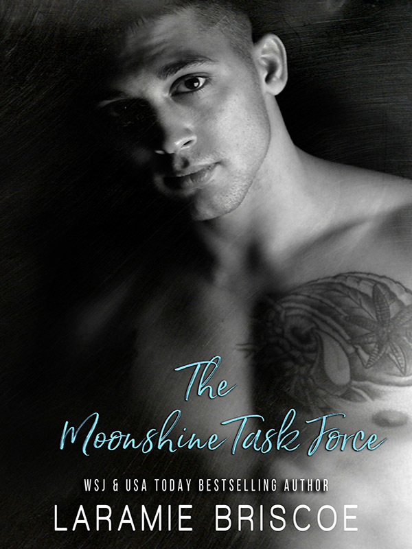 The Moonshine Task Force Series Book