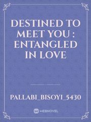 Destined to meet you : entangled in love Book