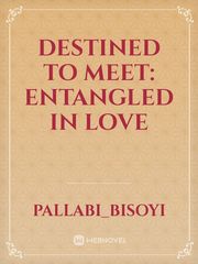 Destined to meet: entangled in love Book