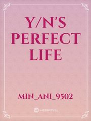 y/n's perfect life Book