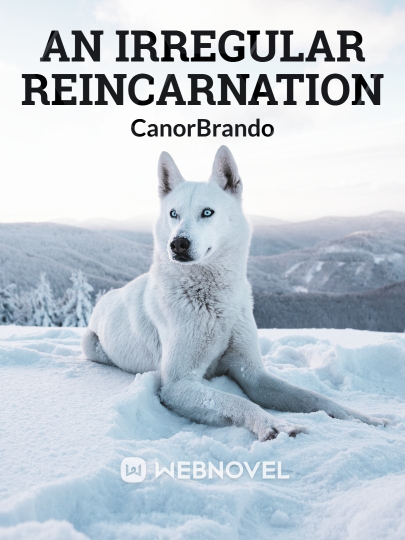 An Irregular Reincarnation Book