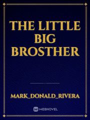 the little big brosther Book