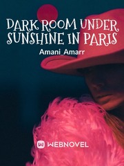 DARK ROOM UNDER SUNSHINE IN PARIS Book