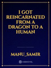 I got reincarnated from a dragon to a human Book