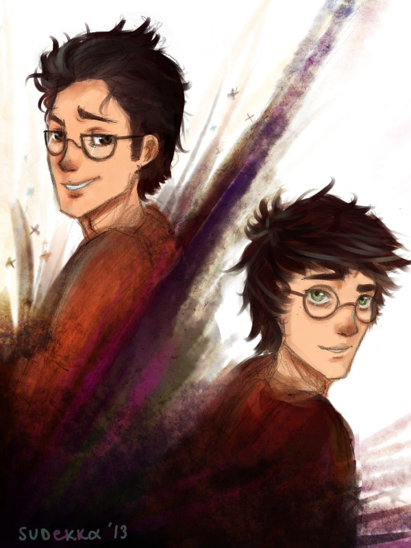 Harry Potter and the Boy Who Lived Book