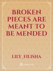 Broken Pieces are meant to be mended Book