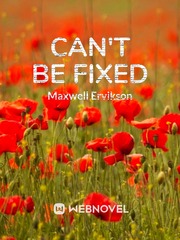Can't be Fixed Book
