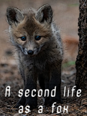 A second life as a fox. Book