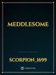 meddlesome Book