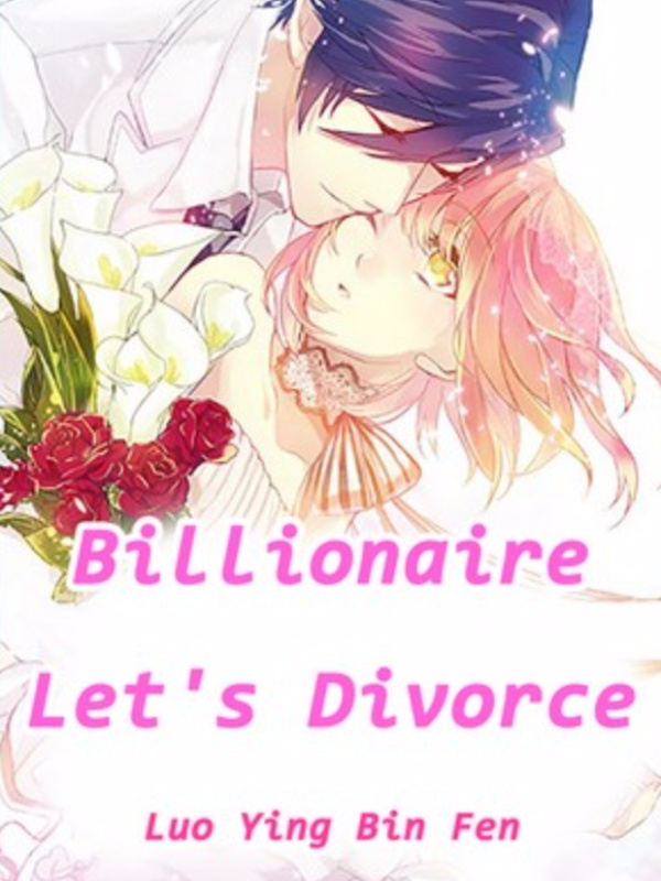Billionaire, Let's Divorce Book