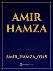 Amir Hamza Book
