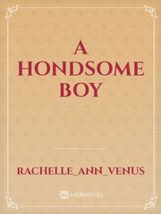 a hondsome boy Book