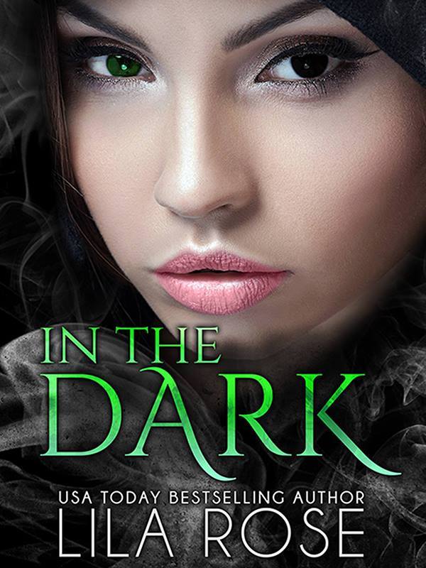 In The Dark1111 Book