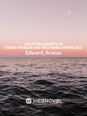 I Pick Fragments In Other Worlds And Becoming Invincible Book