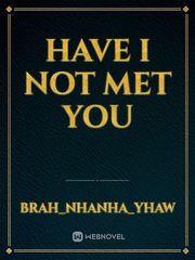Have I Not Met You Book