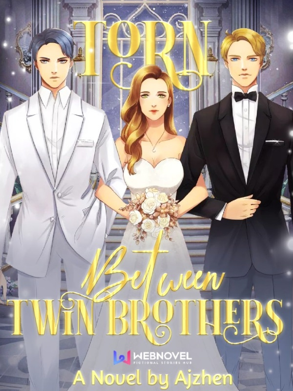 Torn Between Twin Brothers Book