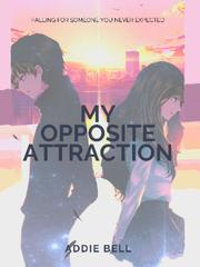 My Opposite Attraction Book