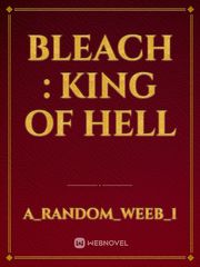 Bleach : King of hell Book