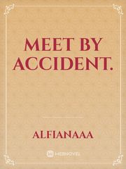 Meet by Accident. Book