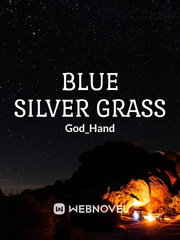 Blue Silver Grass Book