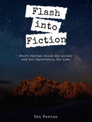 Flash Into Fiction Book