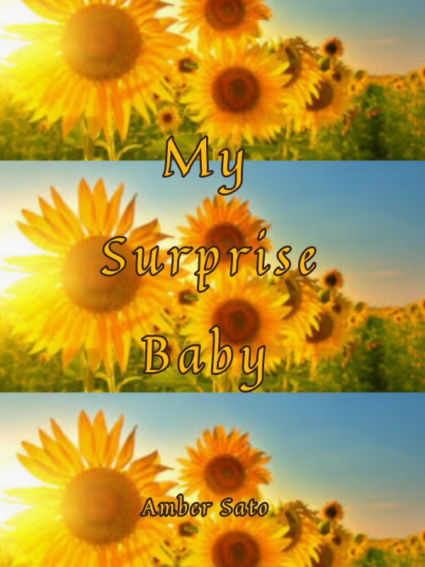 My Surprise Baby (novel) Book