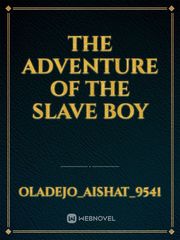 The adventure of the slave boy Book