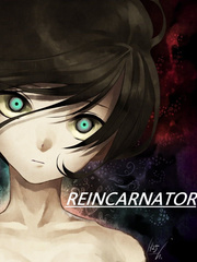 Reincarnator's Power Book
