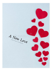 A New Love Came UnExpectedly Book