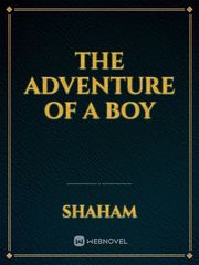 THE ADVENTURE OF A BOY Book