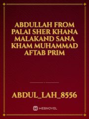 abdullah from palai sher khana malakand sana kham Muhammad aftab prim Book