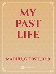 My Past Life Book