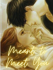 Meant to Meet You Book