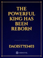 The Powerful King has been Reborn Book