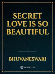 secret love is so beautiful Book