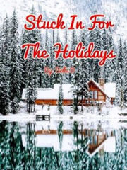 Stuck In For The Holidays Book
