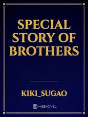Special story of brothers Book