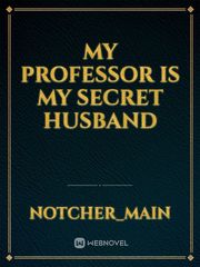 My Professor is My Secret Husband Book
