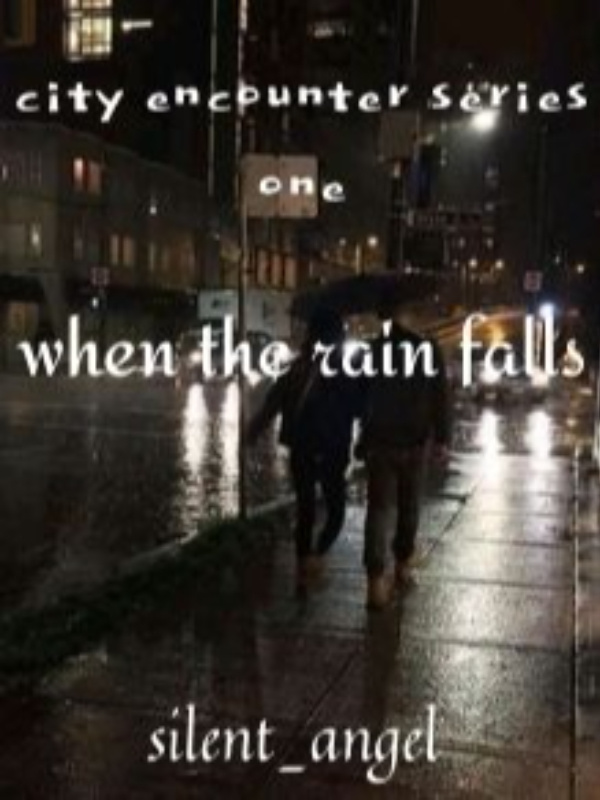 CITY ENCOUNTER SERIES#1: WHEN THE RAIN FALLS Book