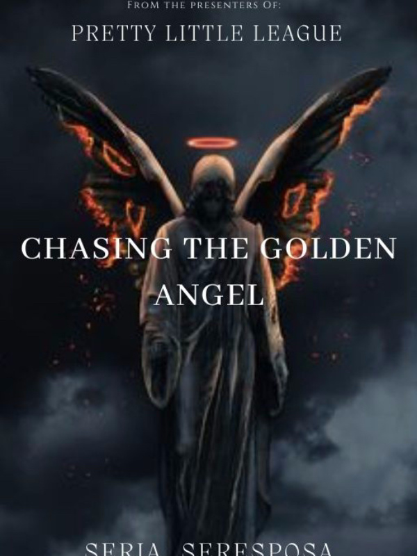 Chasing The Golden Angel Book