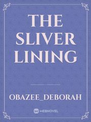 The sliver lining Book