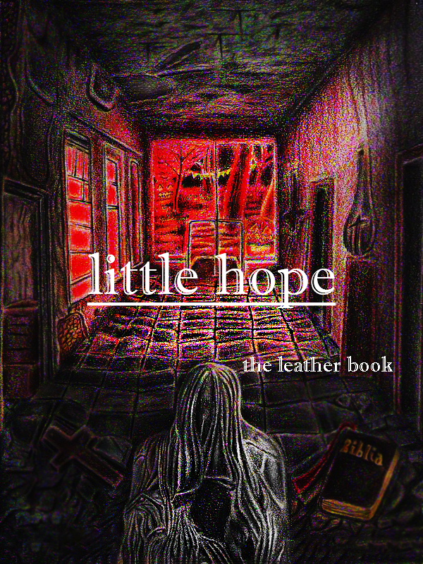 Little hope: the leather book