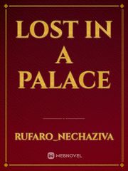 Lost in a palace Book