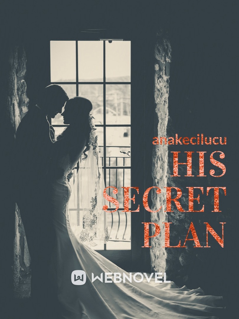 His Secret Plan Book