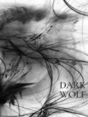 Dark Wolf (Goddess Chosen Book One) Book